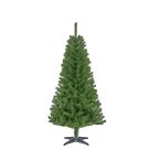 Kerstbomen