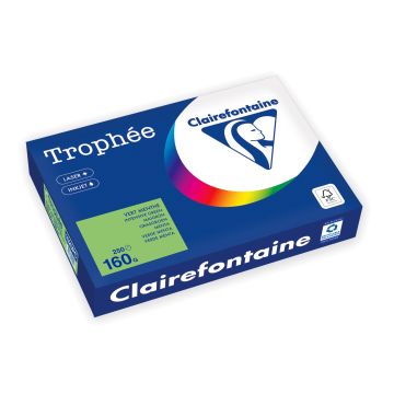 Trophée Gekleurd Papier A4 160 g/m² Grasgroen