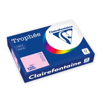 Trophée Gekleurd Papier A4 120 g/m² Roze