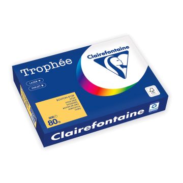 Trophée Gekleurd Papier A4 80 g/m² Diepgeel