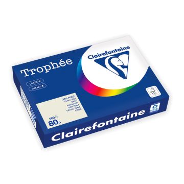 Trophée Gekleurd Papier A4 80 g/m² Parelgrijs