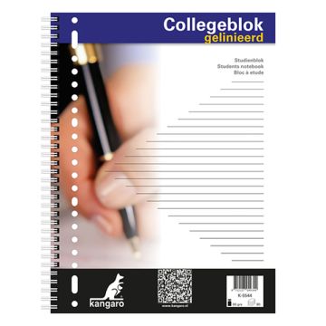 Collegeblok A4 23R lijn 80v/pk5