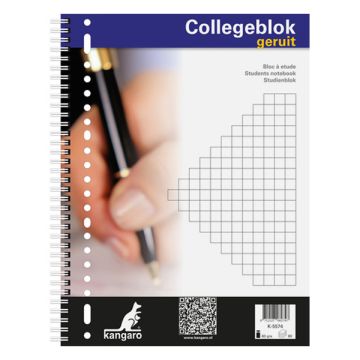 Collegeblok A4 23R ruit 80v/pk5