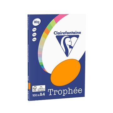 Papier Trophee A4 80g ro/gl/bl/gr