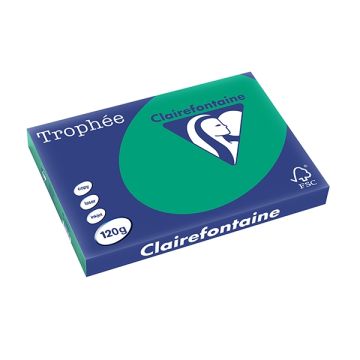 Trophée Gekleurd Papier A3 120 g/m² Dennengroen