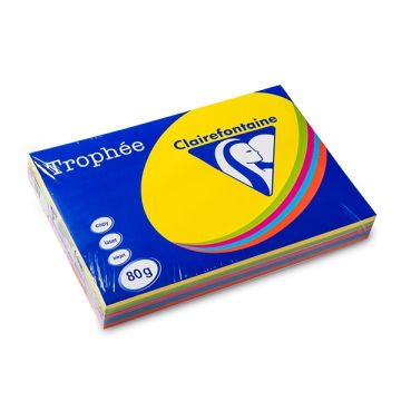 Papier Trophee A3 80g rz/gl/or/gr/b/500v