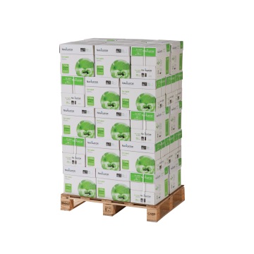 Eco Logical Papier A4 75 g/m² Wit