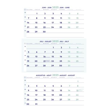 Driemaandskalender Wandmodel 300 x 600 mm NL - FR - DE - ENG