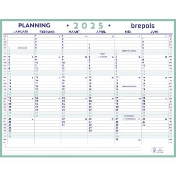 Jaarplanner NL 2025- 420 x 330 mm