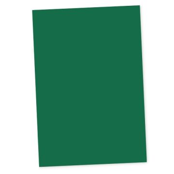 Magneetvel Maul 200x300mm groen