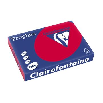 Trophée Gekleurd Papier A4 120 g/m² Kers