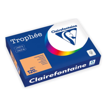 Trophée Gekleurd Papier A4 120 g/m² Oranje