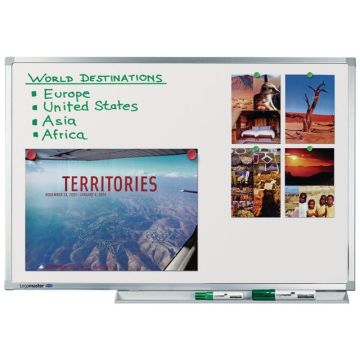 Professional Whiteboard Email 100 x 200 cm