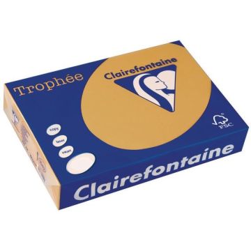 Trophée Gekleurd Papier A4 160 g/m² Mokka