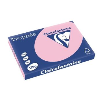 Trophée Gekleurd Papier A3 120 g/m² Roze