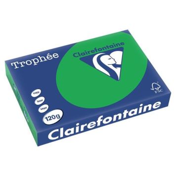 Trophée Gekleurd Papier A4 120 g/m² Biljartgroen