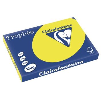 Trophée Gekleurd Papier A3 120 g/m² Zonnebloemgeel