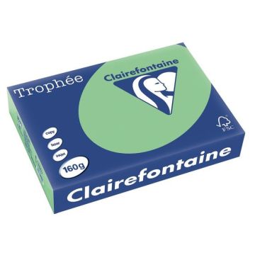 Trophée Gekleurd Papier A4 160 g/m² Natuurgroen