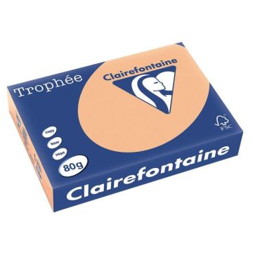 Trophée Gekleurd Papier A4 80 g/m² Abrikoos