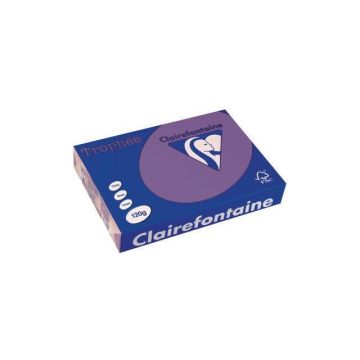 Trophée Gekleurd Papier A4 120 g/m² Violet