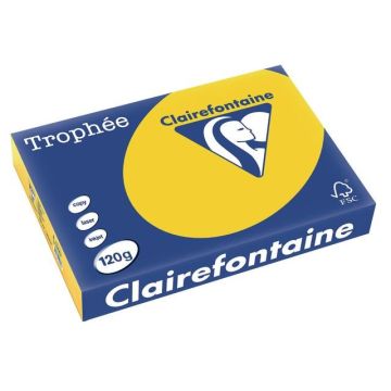 Trophée Gekleurd Papier A4 120 g/m² Goudgeel