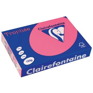 Trophée Gekleurd Papier A4 120 g/m² Fuchsia