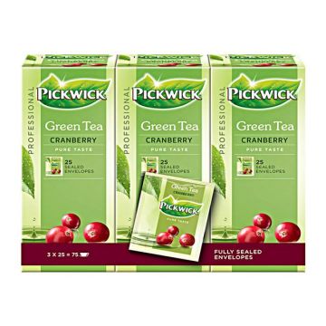 Professional Green Tea Cranberry, Theezakjes, 38 g