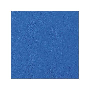 Schutblad A4 Leernerf Blauw