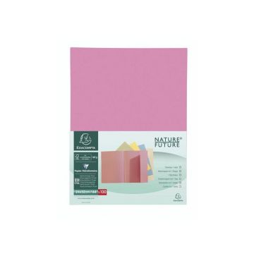 Nature Future Jura 160 Vouwmap A4 160 g/m² Roze