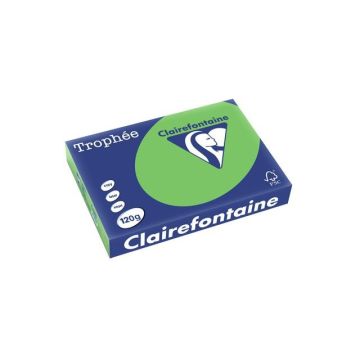 Trophée Gekleurd Papier A4 120 g/m² Grasgroen