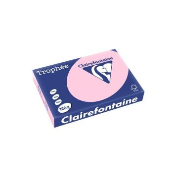 Trophée Gekleurd Papier A4 120 g/m² Roze