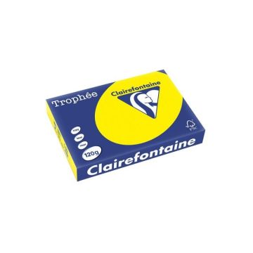 Trophée Gekleurd Papier A4 120 g/m² Felgeel