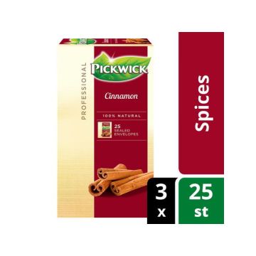 Professional Cinnamon, Theezakjes, 40 g