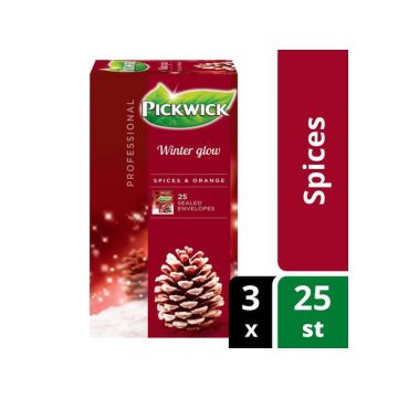 Professional Winter Glow Theezakjes 50 g