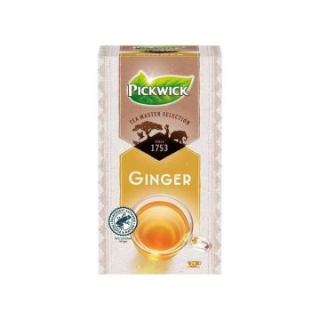 Tea Master Selection Ginger Tea