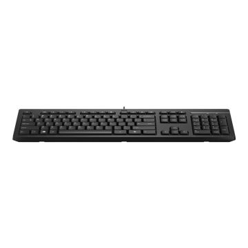 HP 125 Wired Keyboard - Belgium AZERTY (BE)