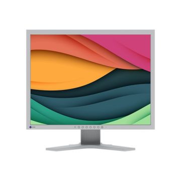 EIZO S2134-GY 21inch 4:3 1600x1200 420 cd/sqm 178/178 IPS LCD Display Port DVI-D DSub Auto EcoView G