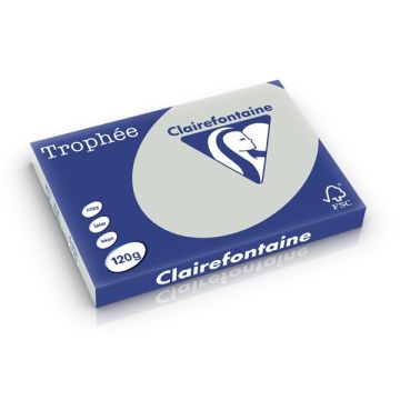 Clairefontaine gekleurd papier lichtgrijs 120 grams A3 (250 vel)