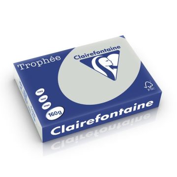 Clairefontaine gekleurd papier lichtgrijs 160 grams A4 (250 vel)