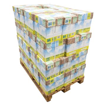 PaperWise 1 pallet 48 dozen van 2.500 vel A4 - 80 grams