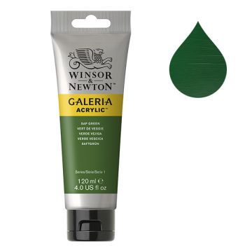 Winsor & Newton Galeria acrylverf 599 sap green (120 ml)