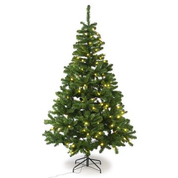 Kunstkerstboom 2.15 meter | Charlton | 180 lampjes | 805 tips | PVC | Black Box