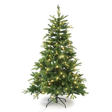 Kunstkerstboom 1.85 meter | Brampton | 200 lampjes | 1458 tips | PVC/PE | Black Box