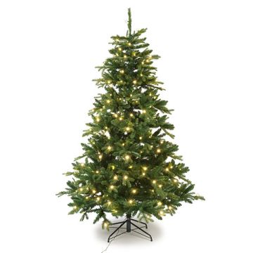 Kunstkerstboom 2.15 meter | Brampton | 260 lampjes | 1992 tips | PVC/PE | Black Box