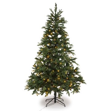 Kunstkerstboom 2.30 meter | Brampton | 320 lampjes | 2322 tips | PVC/PE | Black Box