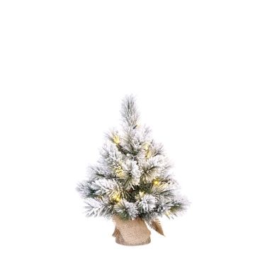 Kunstkerstboom 45 cm | Dinsmore | Besneeuwd | 10 lampjes | 32 Tips | Black Box Trees