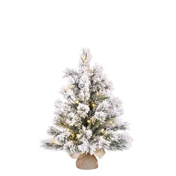 Kunstkerstboom 60 cm | Dinsmore | Besneeuwd | 20 lampjes | 56 Tips | Black Box Trees