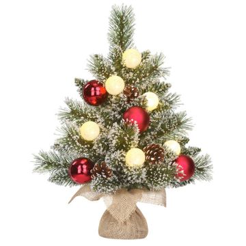 Kunstkerstboom 45 cm | Glendon | Besneeuwd | 8 lampjes | 36 Tips | Black Box Trees