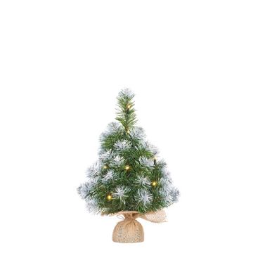 Kunstkerstboom 45 cm | Norton | Besneeuwd | 10 lampjes | 40 Tips | Black Box Trees