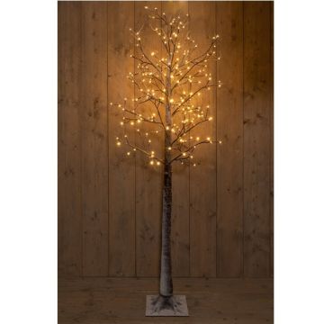 LED Kerstboom 200 cm | Berk met sneeuw | Extra warm wit | 204 lampjes | Geschikt voor buiten